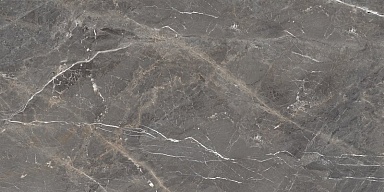 Керамогранит Ocean-Ceramic Tulip Grey Glossy 60x120