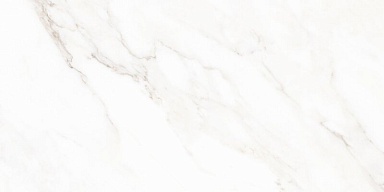 Керамогранит Neodom N40030 Calacatta Michael Carving 60x120