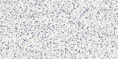 Керамогранит Marazzi Italy MN13 Frammento Macro Azzurro R10 RT 60x120