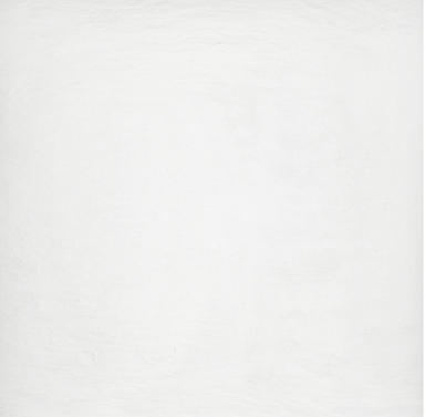 Керамогранит Polcolorit Ardesia Bianco 59.4x59.4