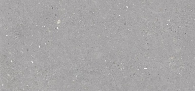 Керамогранит Simpolo Ceramics Stx Fossil Grey 59,8х119,8