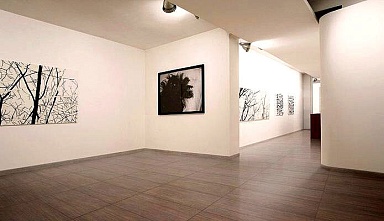 Керамогранит Casalgrande Padana Metalwood Bronzo Naturale 10x60