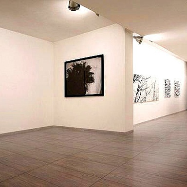 Metalwood Casalgrande Padana