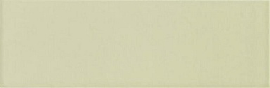 Плитка Mainzu Jungle Mint 10х30