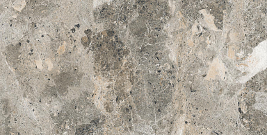 Керамогранит Alpas Euro Alaska Grey Pol. 60x120