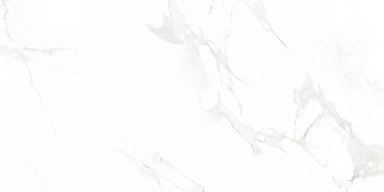 Керамогранит Neodom N12003 Venus Bianco Polished 60x120