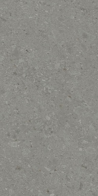 Керамогранит Kerama Marazzi DD591500R Чеппо ди Гре серый тёмный матовый обрезной 119,5x238,5x1,1