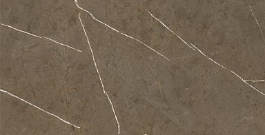 Керамогранит Basconi Home BHM-5009 Stone Brown 3D ink-soft glaze 60x120