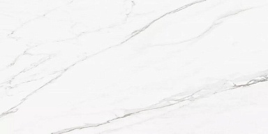 Керамогранит Prime Ceramics Callacata Silver Rect матовая 60x120