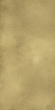 Керамогранит Italon 610015000645 Continuum Brass Gold Lap 80x160