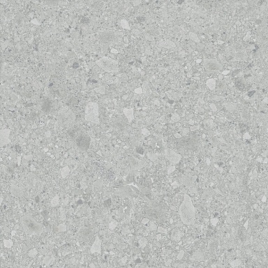 Керамогранит LB-Ceramics 6461-0425 Иней Tech Серый 60х60