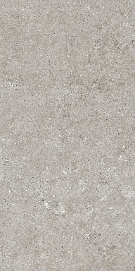 Керамогранит Casa Dolce Casa 768342 Sensi Grey Fossil Ret 40x80