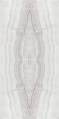 Панно Cerdomus 79417 Skorpion Bookmatch Silver R/L S/4 120x240 (4*60x120)