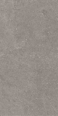 Керамогранит Artcer 1224 Graniti Grey Matt Ghr 120x60