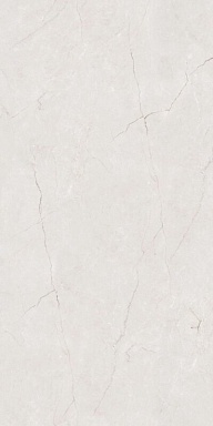 Керамогранит BELLEZA Cason Grey Carving 60х120