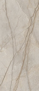 Керамогранит Italon 600180000045 Stellaris Elegant Silver Nat Ret 120x278