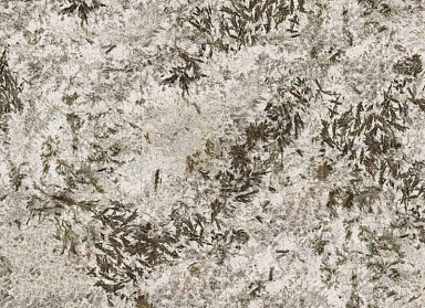 Керамогранит Moreroom Stone MN627BP271206 Frozen Fox Polished 6mm 120x270