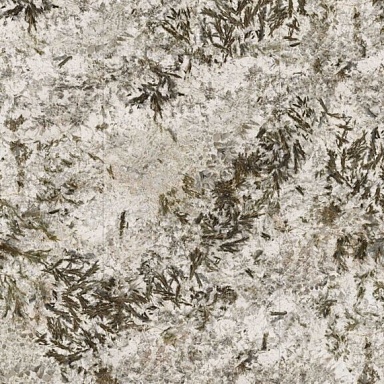 Frozen Fox Moreroom Stone