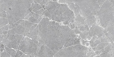 Керамогранит ProGRES Ceramica NR12060401-M Гарсия Серый матовый 1200x600x9.5