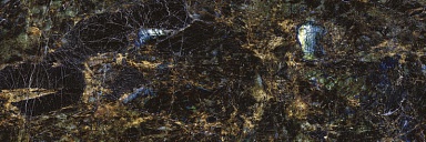 Керамогранит Adicon Labradorite High Glossy 800x2400x15