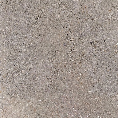 Керамогранит Prime Ceramics Terra Silver 60x60