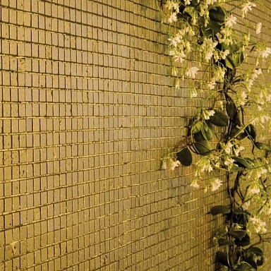 Mosaico Stock Dune Dune