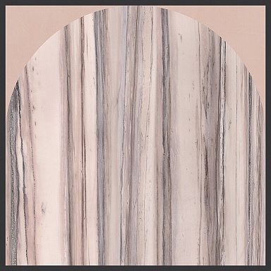 Декор Cedit 764116 Policroma Arco Valtoce-Cipria Mat Ret 6mm 120x120