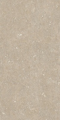Керамогранит Casa Dolce Casa 785575 Rinascenza Arena Conchiglia Matte 6mm 60x120