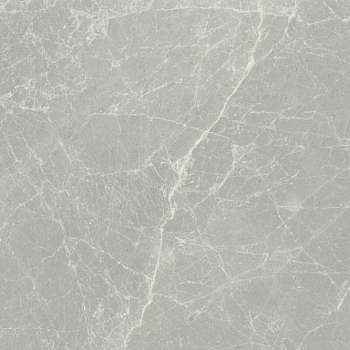 Керамогранит Cerim 760064 Exalt Silver Light Luc Ret 60x60