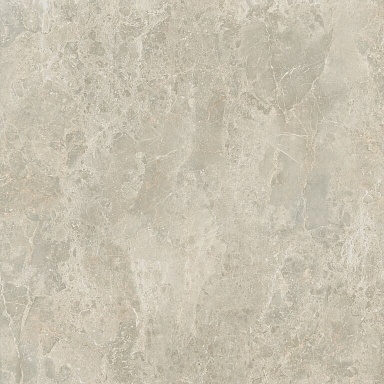 Керамогранит Coliseumgres 610010002663 Да Винчи Беж Рет 60x60