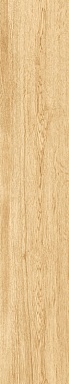 Керамогранит Artcer 1064 Parma Honey Mate 120x20