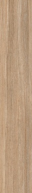 Керамогранит Keraben Poeme Brandy 120x20