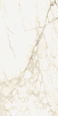 Керамогранит Coliseumgres 610010002745 Микеланджело Ворм 60x120