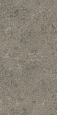 Керамогранит Atlas Concorde Italy AJIU Marvel Meraviglia Grigio Elegante Matt 60x120