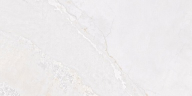 Керамогранит Fanal Planet White N Metal Shine 60x120
