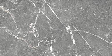 Плитка Global Tile GT99VG Capella Серый 50x25