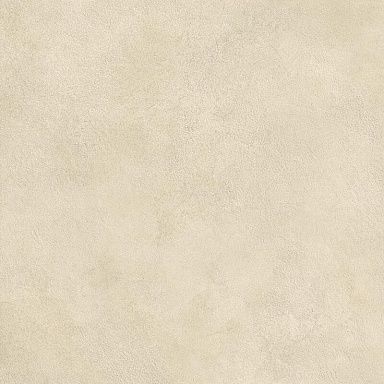 Керамогранит Atlas Concorde Italy AYVP Boost Expression Camel Matte 60x60