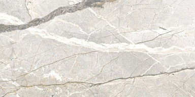 Керамогранит Flaviker PF60017241 Supreme Hedonism Silver Roots Lux 3D R 60x120