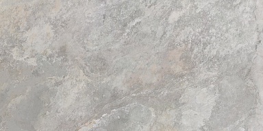 Керамогранит Porcelanosa 100202669 Image Silver 59.6x120