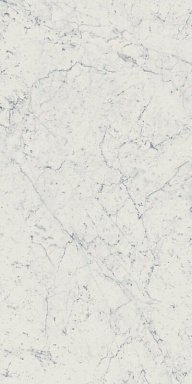 Керамогранит Italon 610010001194 Charme Extra Carrara Nat Ret 60x120