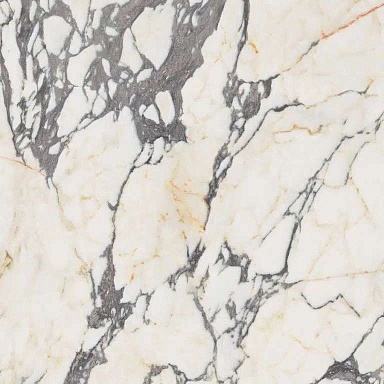 Керамогранит Ariana Ceramica PF60009346 EPOQUE 21 ARABESCATO ANT R 60x60