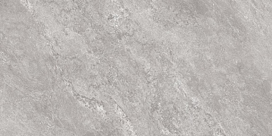 Керамогранит Global Tile GT5010027401MCR Виталити Серый 50x100