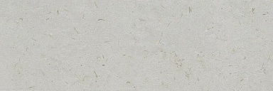 Плитка Ibero R0002309 Botanical Savia Rect. 30x90