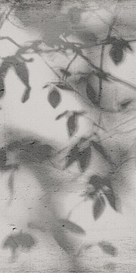 Керамогранит Flaviker PF60012582 Art Walls Shadow Nat R 60x120
