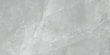 Керамогранит LCM 60120AMB15P Armani Marble Gray 60x120