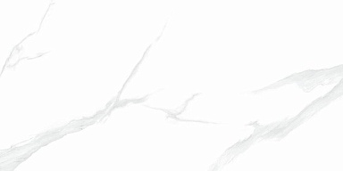 Керамогранит NT Ceramic NTT9106P Statuario 60x120