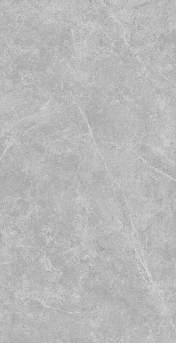 Керамогранит PrimaVera TP612M017 Петрано светло-серый матовый 60x120