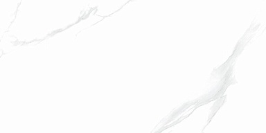 Керамогранит NT Ceramic NTT9106P Statuario 60x120