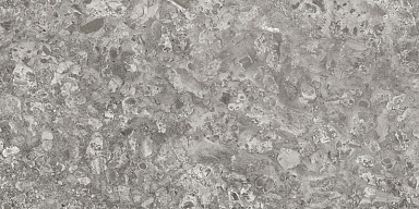 Керамогранит Idalgo Lunar Grey / Лунар Серый MR 120x60