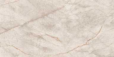 Керамогранит Atlas Concorde Italy AXJW Marvel Diva White Everest Lapp 120x240